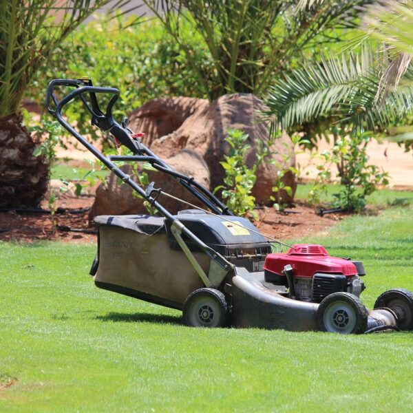 mower, lawn, grass-320799.jpg